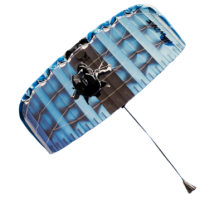 Skydive Wings