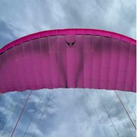 Loki2 17m - PINK