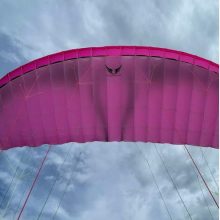 Loki2 9m - PINK