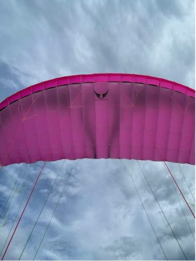 Loki2 9m - PINK