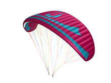 ODIN - 14M - Burgandy