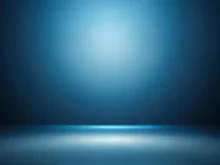 Custom Skydive Wing Order